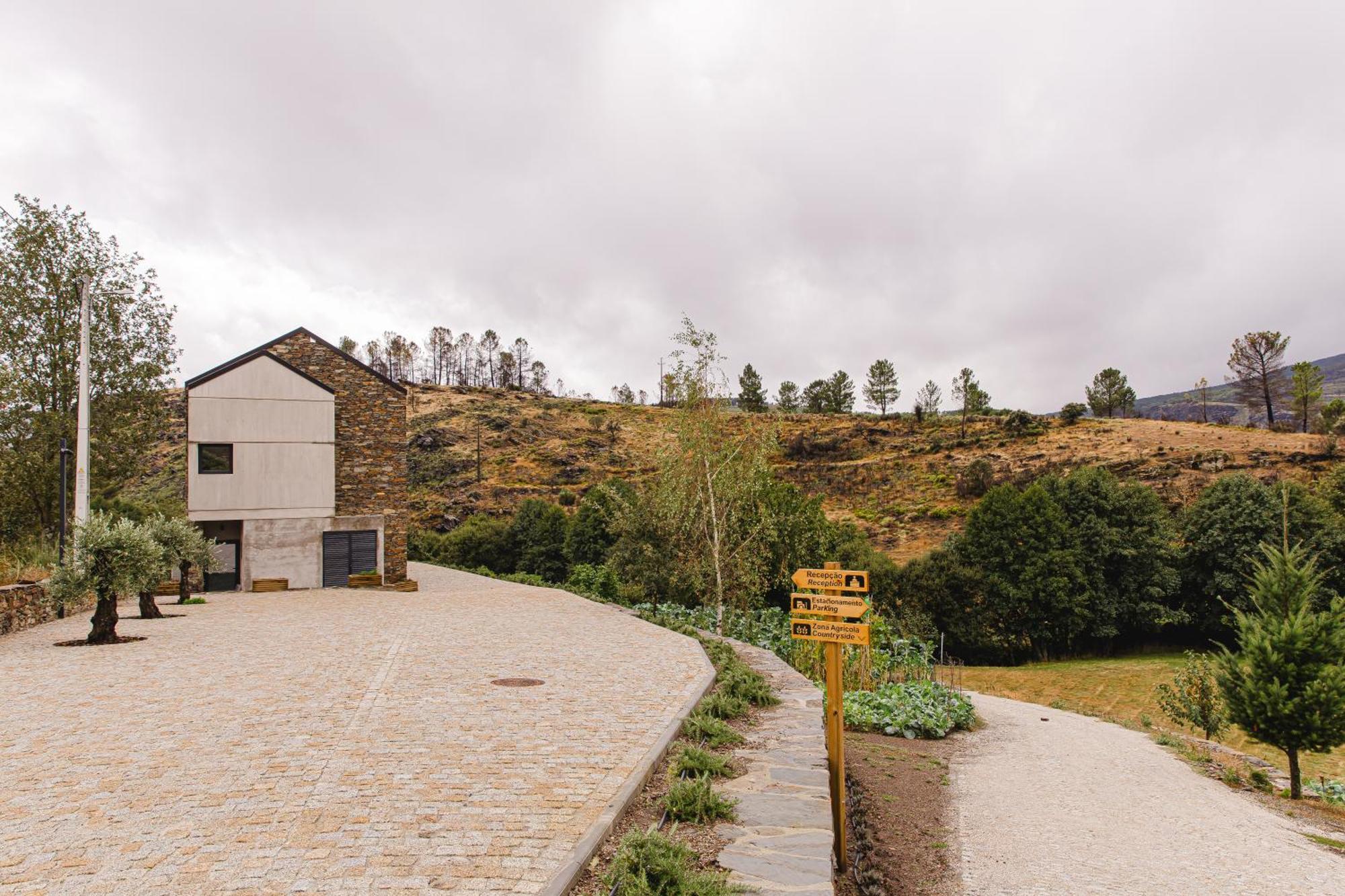 Terrasense Mountain Charm Retreat & Farm Apartman Videmonte Kültér fotó