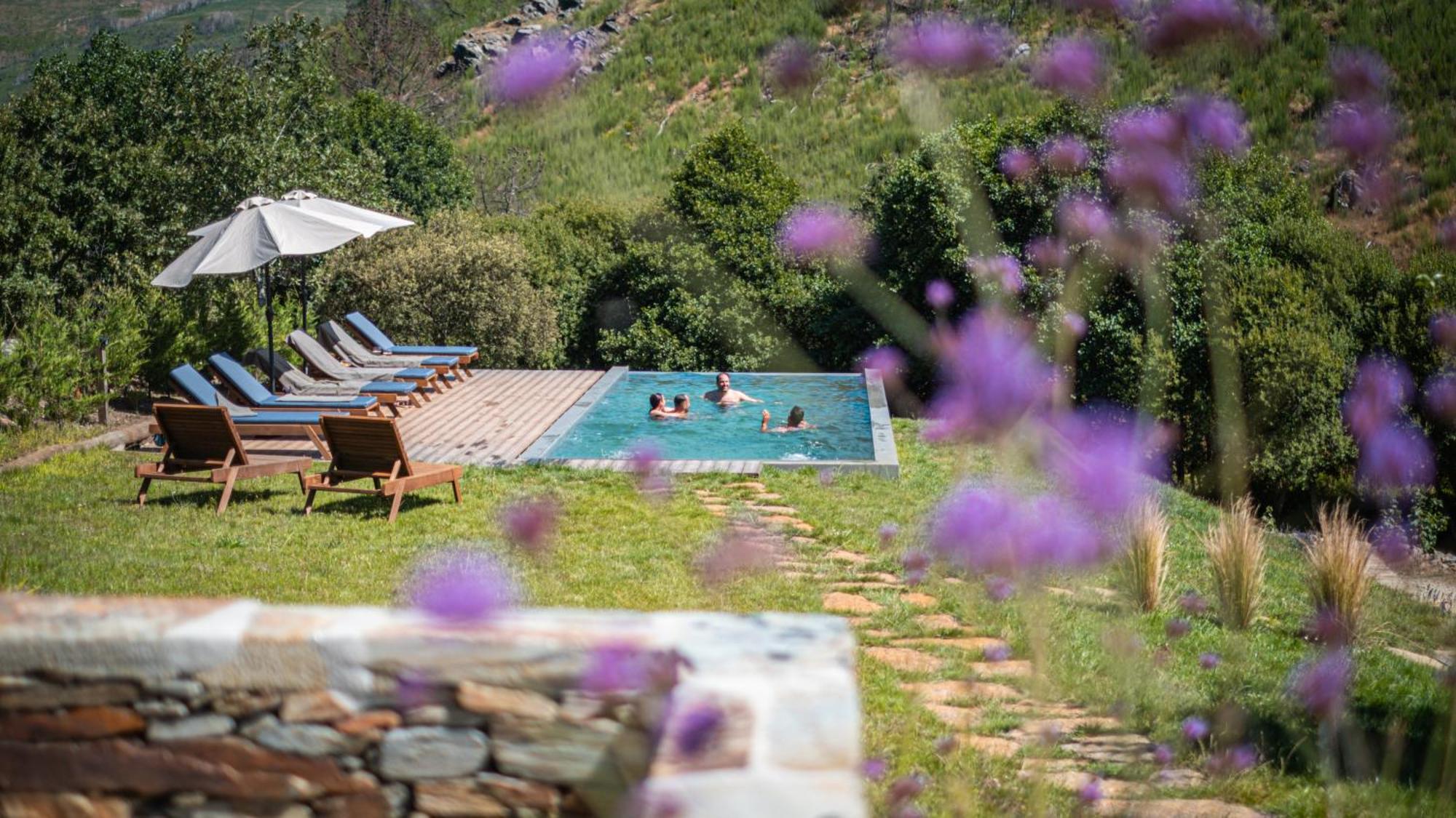 Terrasense Mountain Charm Retreat & Farm Apartman Videmonte Kültér fotó